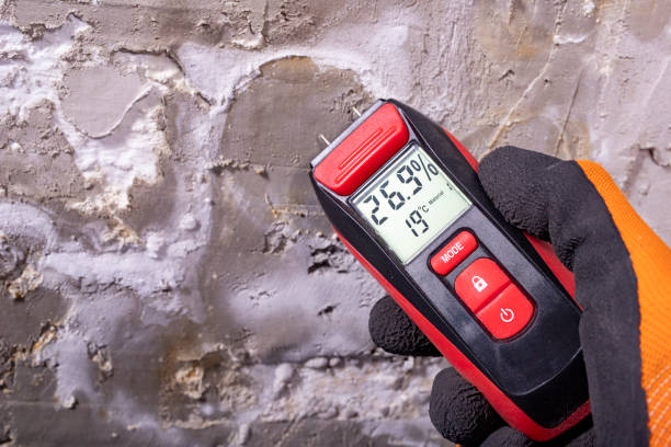 Best Crawl Space Mold Removal  in Santa Cruz, CA
