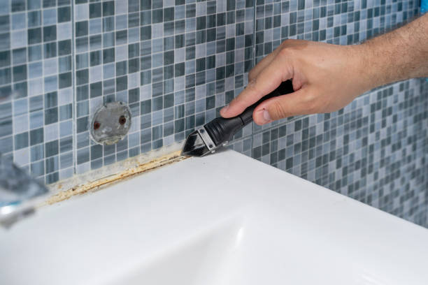 Mold Testing and Removal in Santa Cruz, CA