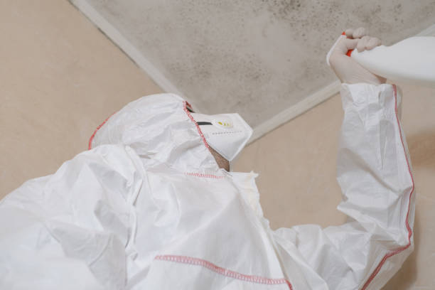 Best Mold Testing  in Santa Cruz, CA